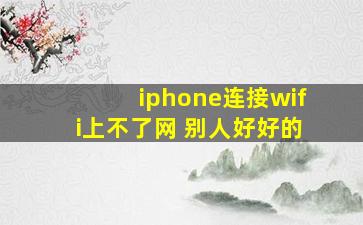 iphone连接wifi上不了网 别人好好的